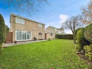 Photo 11- click for photo gallery